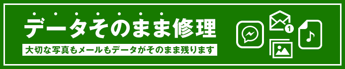 データそのまま！！