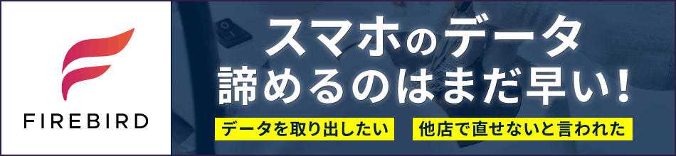 iPhoneのデータ復旧サービス FIREBIRD